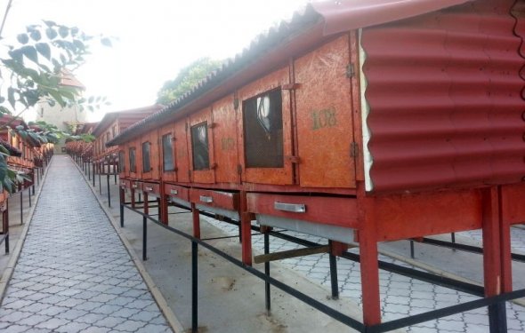 Бизнес-план кроличьей фермы с