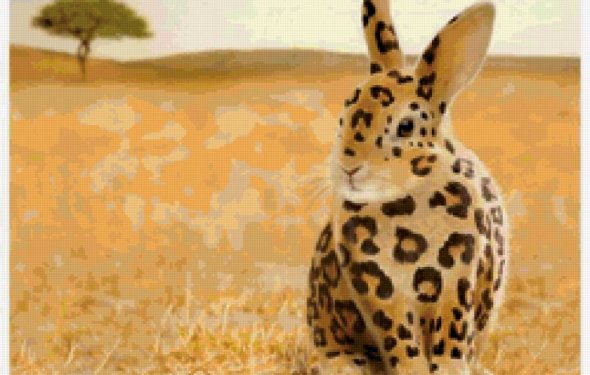 Какие бывают кролики фото