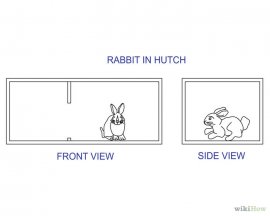 Изображение с названием Build a Rabbit Hutch Step 1