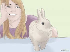 Изображение с названием Care for a Sneezing Rabbit Step 6