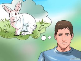 Изображение с названием Care for an Outdoor Rabbit Step 1