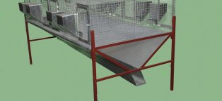 Для Кроликов