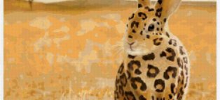 Какие Бывают Кролики